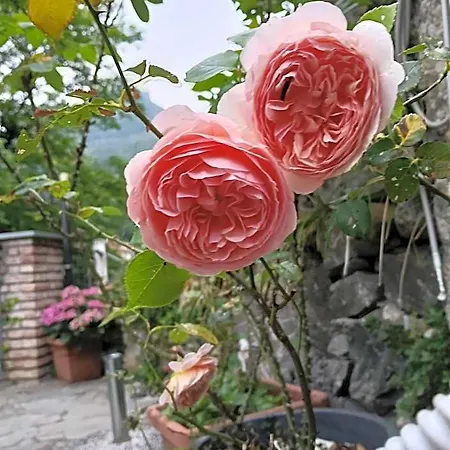 I Tre Ladroni Nocleg ze śniadaniem Nasino