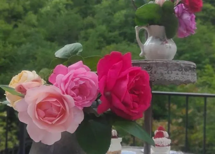 Bed and Breakfast I Tre Ladroni Nasino